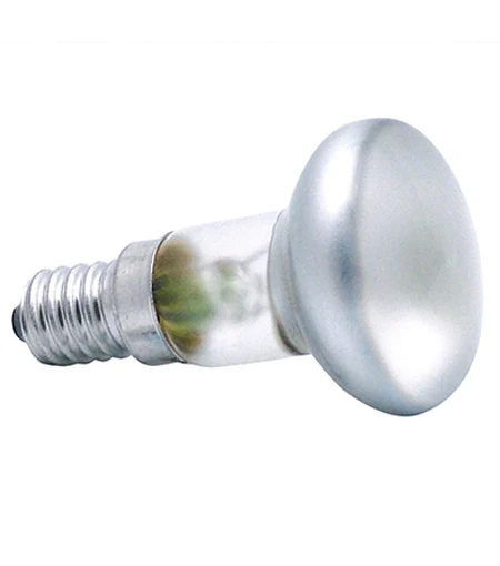 Reflector Light Bulb